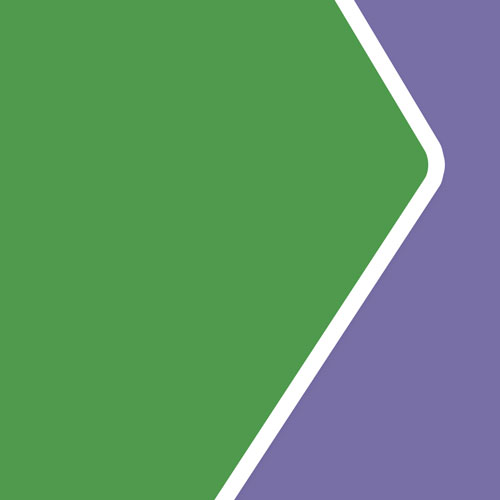 استخوانی
