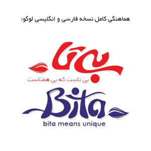 لوگوی شرکت بیتا 